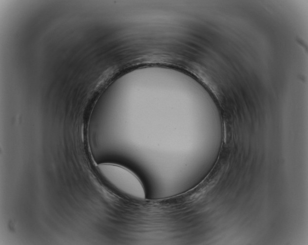 X0000097790253200803070941