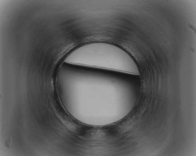 X0000097790254200803070941