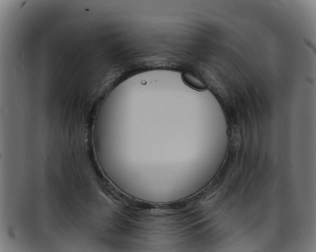 X0000097790255200803070942