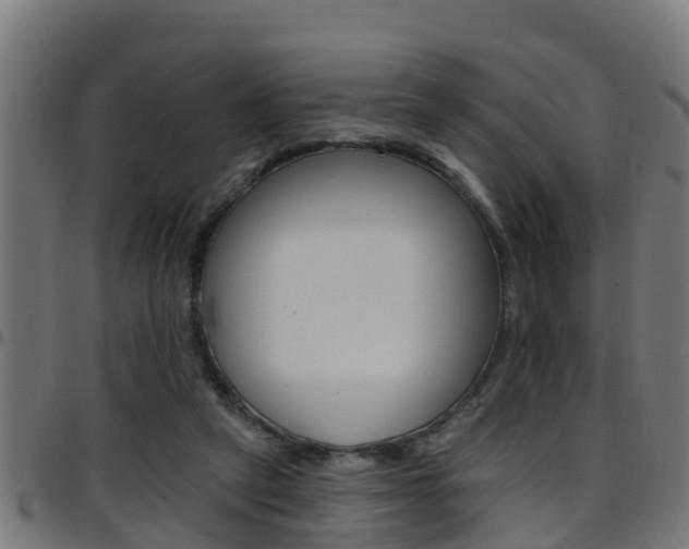 X0000097790257200803070942