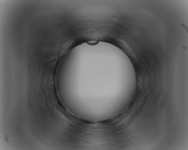 X0000097790259200803070942