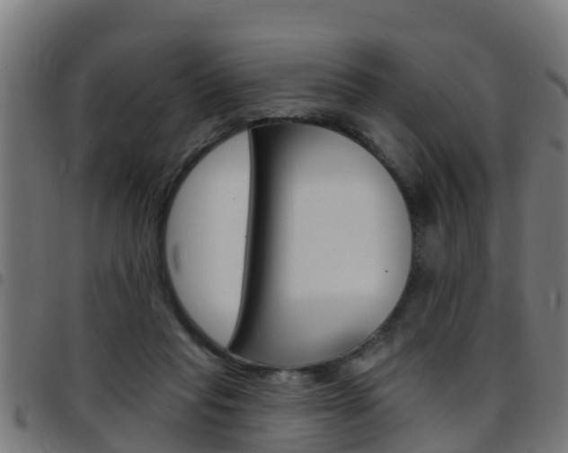 X0000097790261200803070942