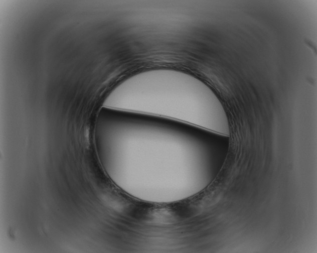 X0000097790262200803070942