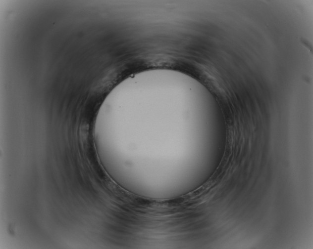X0000097790263200803070942