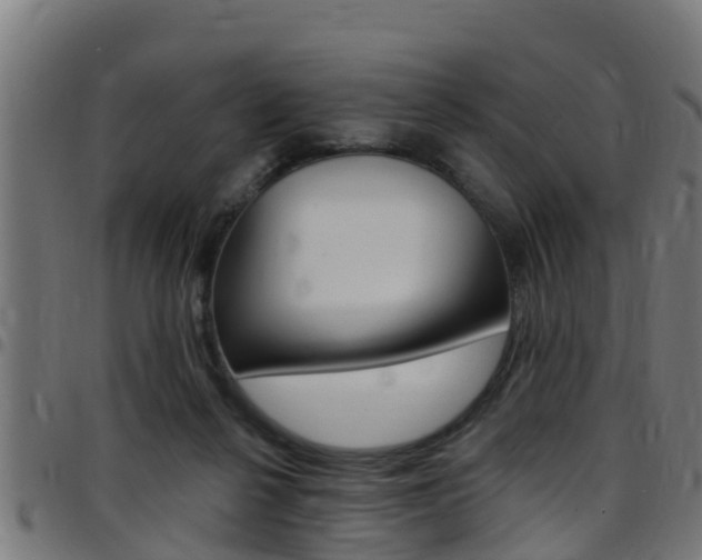 X0000097790264200803070942