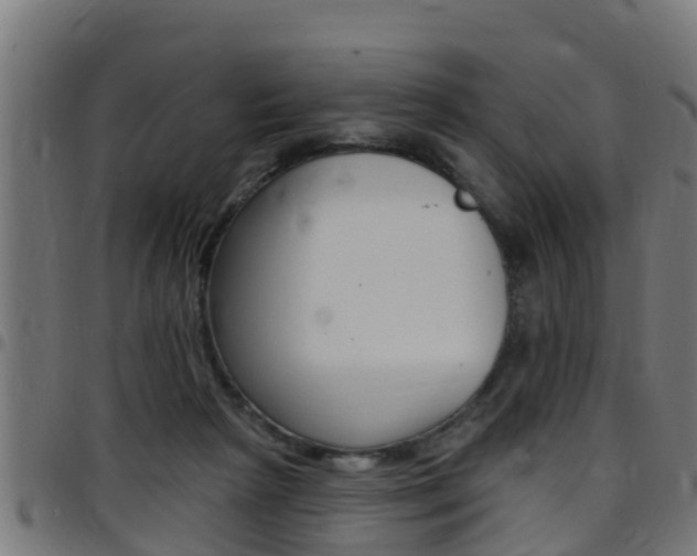 X0000097790265200803070942