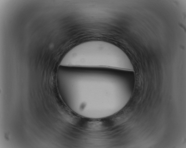 X0000097790266200803070942