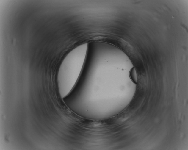 X0000097790267200803070942