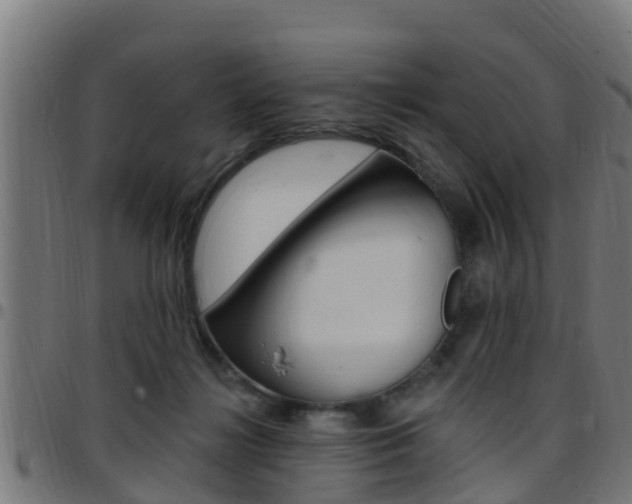 X0000097790268200803070942