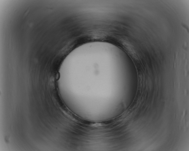 X0000097790269200803070942