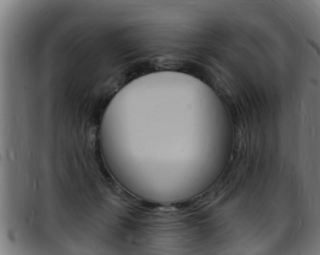 X0000097790271200803070942