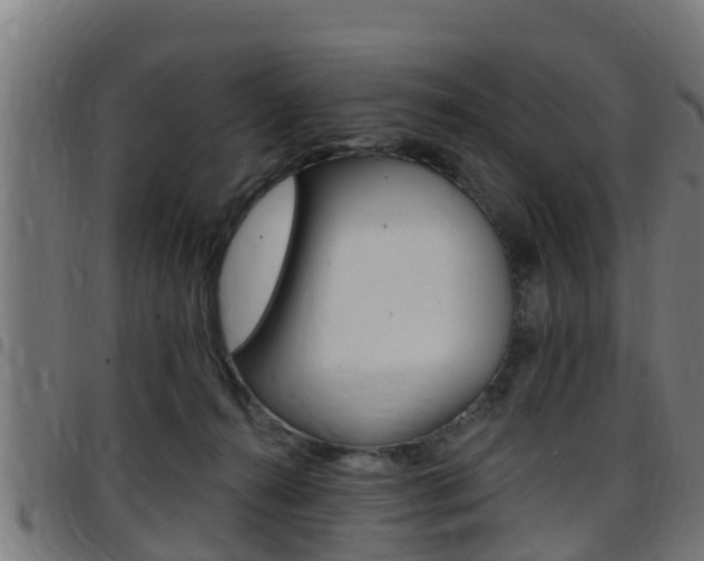 X0000097790272200803070942