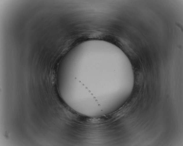 X0000097790273200803070942