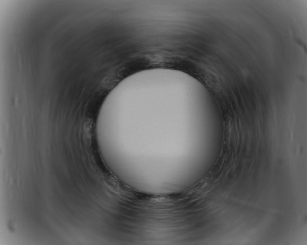 X0000097790275200803070942