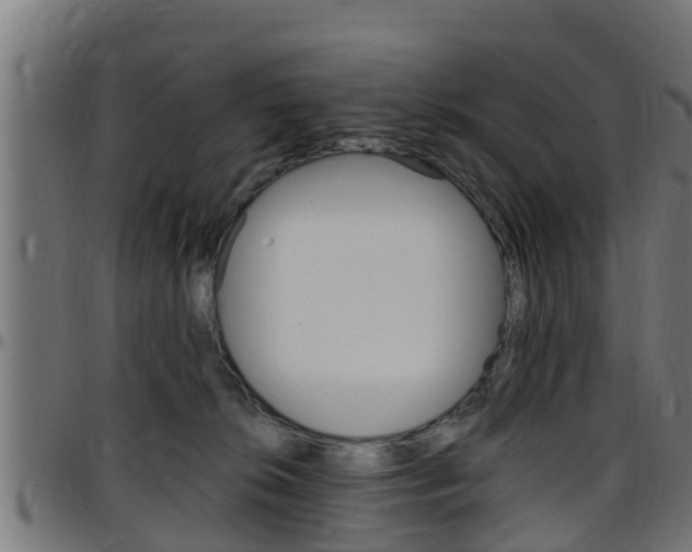 X0000097790276200803070942