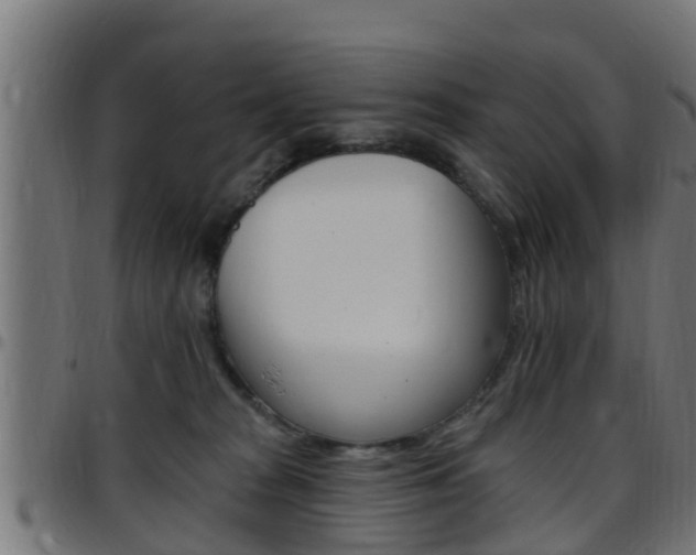 X0000097790277200803070942