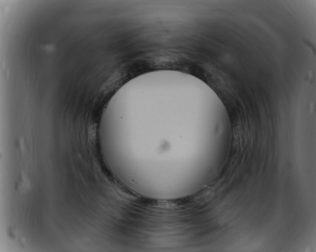X0000097790278200803070942