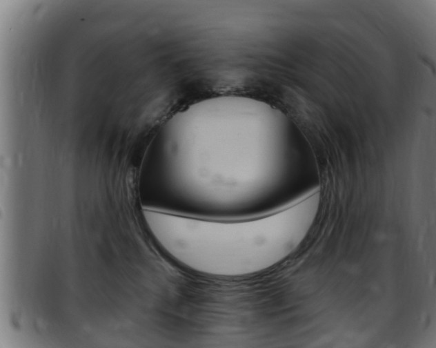 X0000097790280200803070942