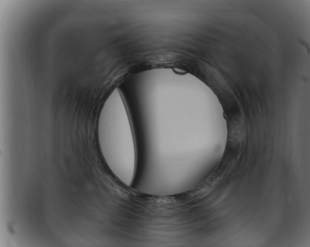 X0000097790282200803070942