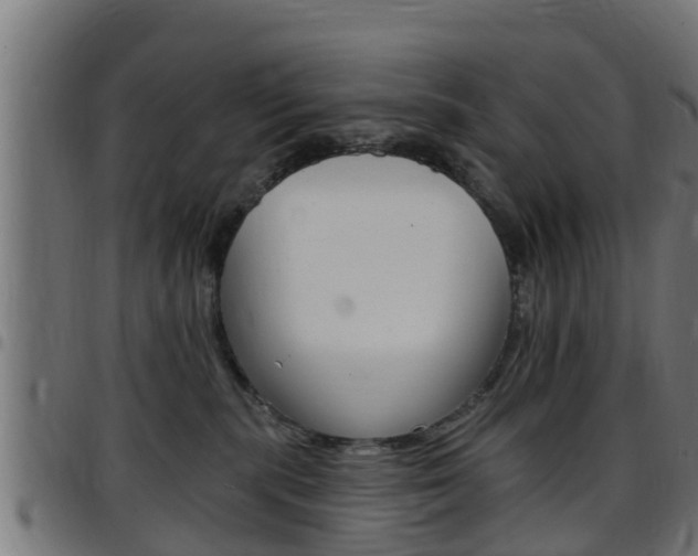 X0000097790283200803070942