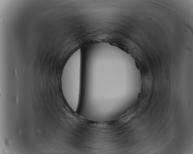 X0000097790284200803070942