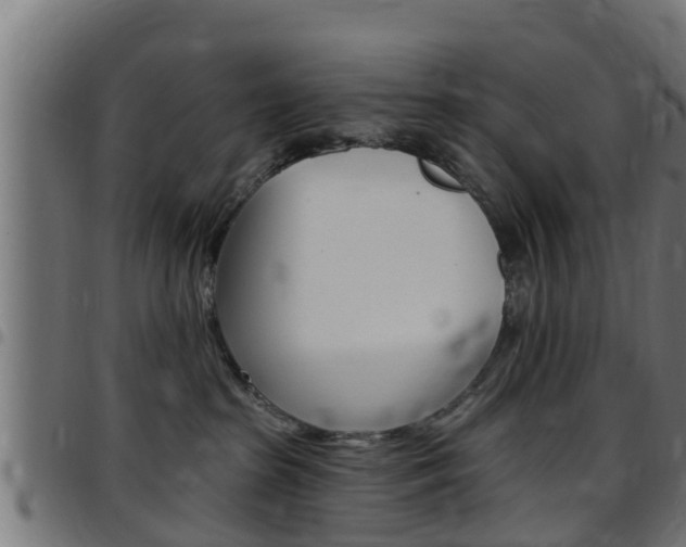 X0000097790285200803070942
