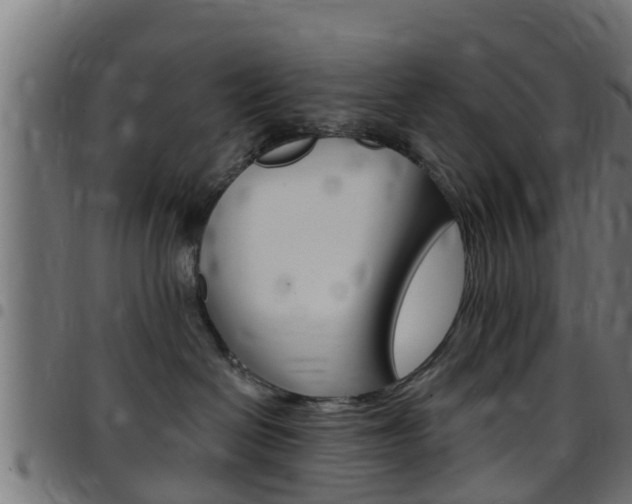 X0000097790286200803070942