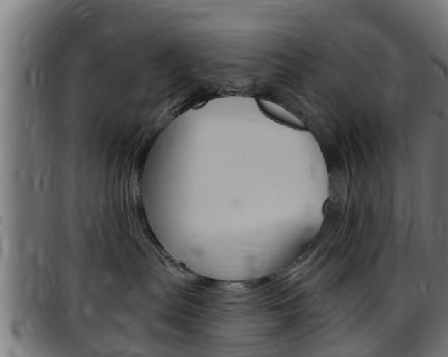 X0000097790287200803070942