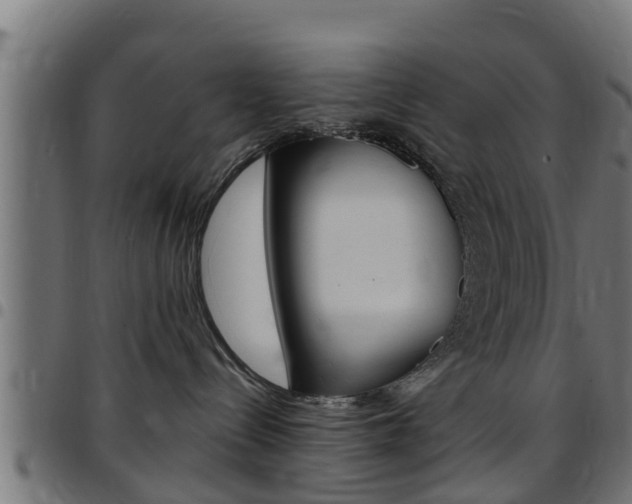 X0000097790288200803070942