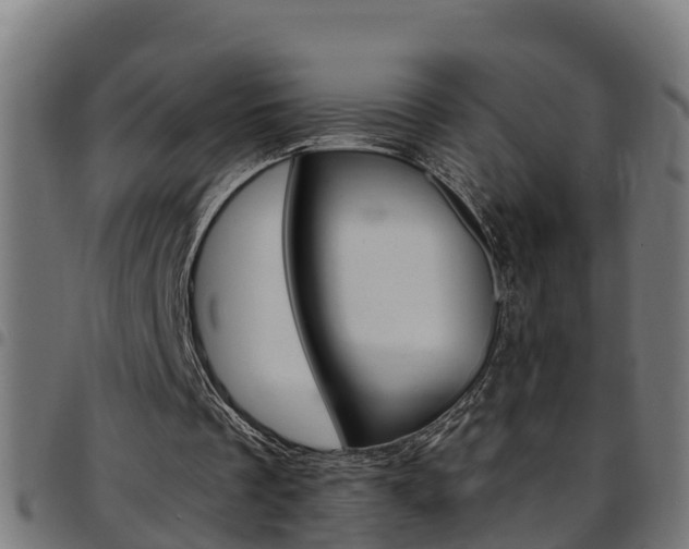 X0000097790289200803070941