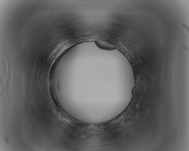 X0000097790290200803070941
