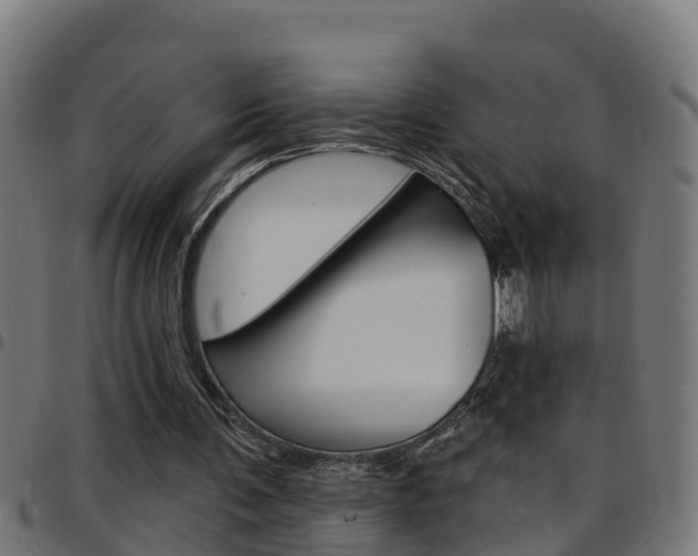 X0000097790291200803070941