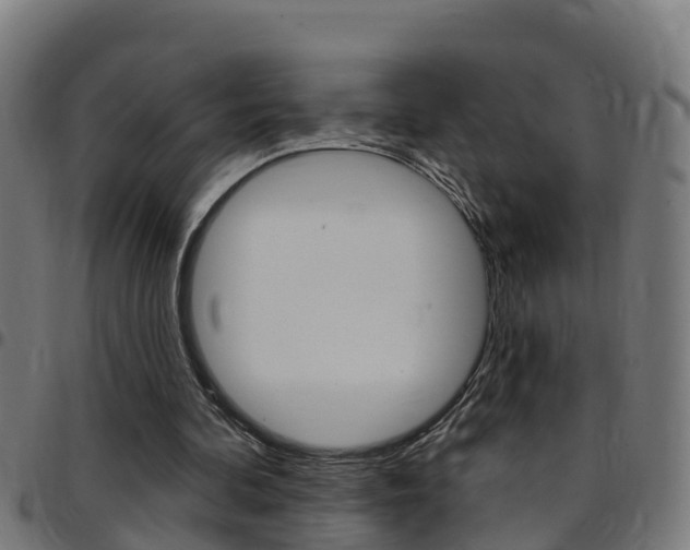 X0000097790292200803070941