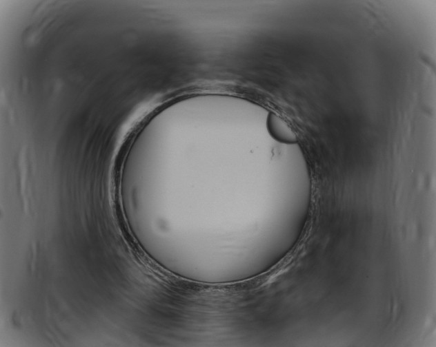 X0000097790294200803070941