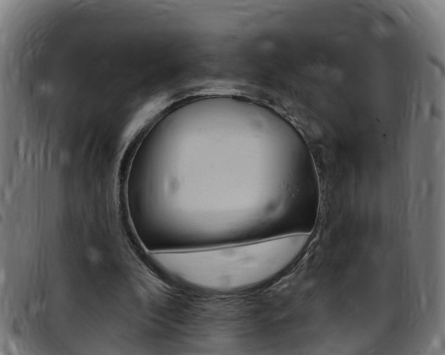 X0000097790296200803070941