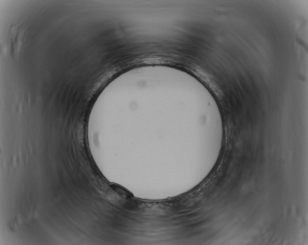 X0000097790297200803070941
