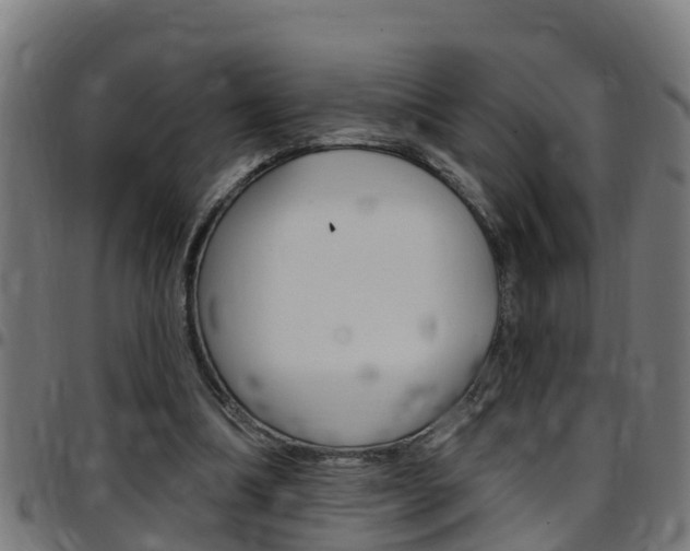 X0000097790298200803070941