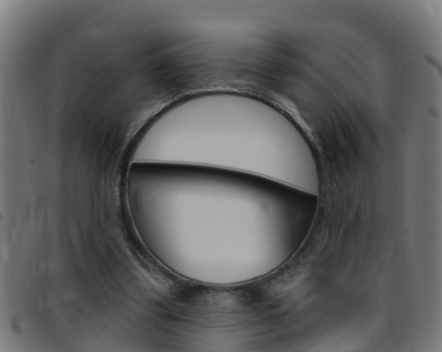 X0000097790299200803070941