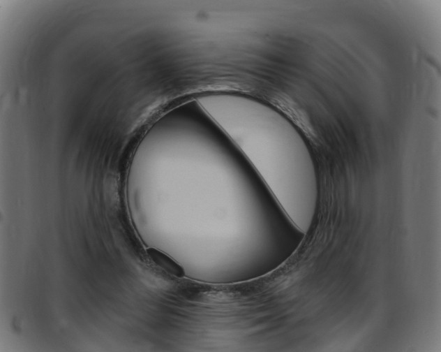X0000097790300200803070941