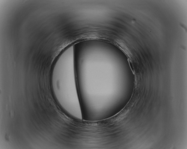 X0000097790301200803070941