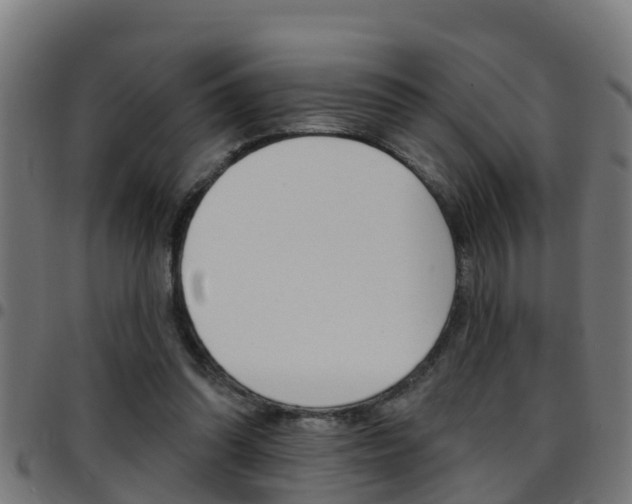 X0000097790302200803070941