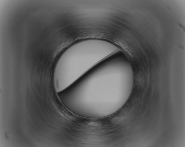 X0000097790303200803070941