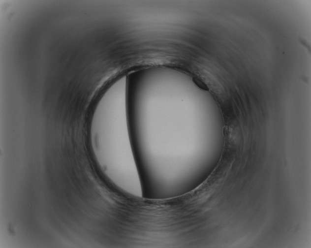 X0000097790304200803070941