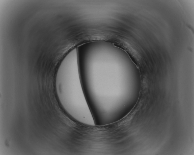 X0000097790305200803070941