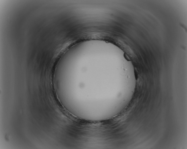 X0000097790306200803070941