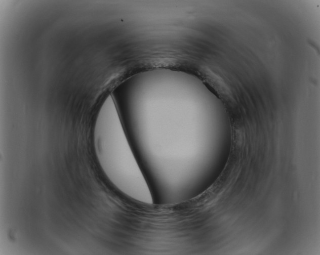 X0000097790308200803070941