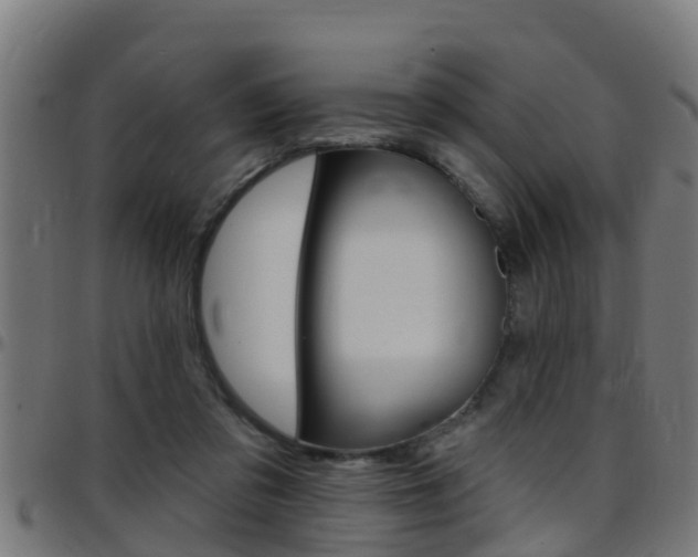 X0000097790309200803070941