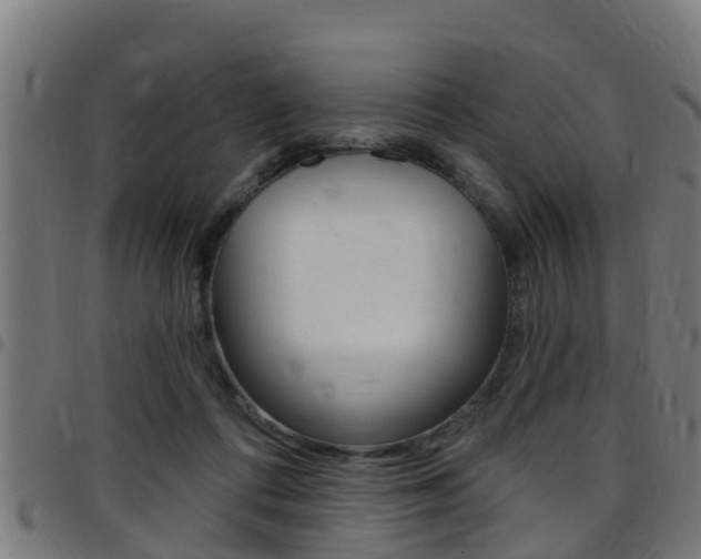 X0000097790312200803070941