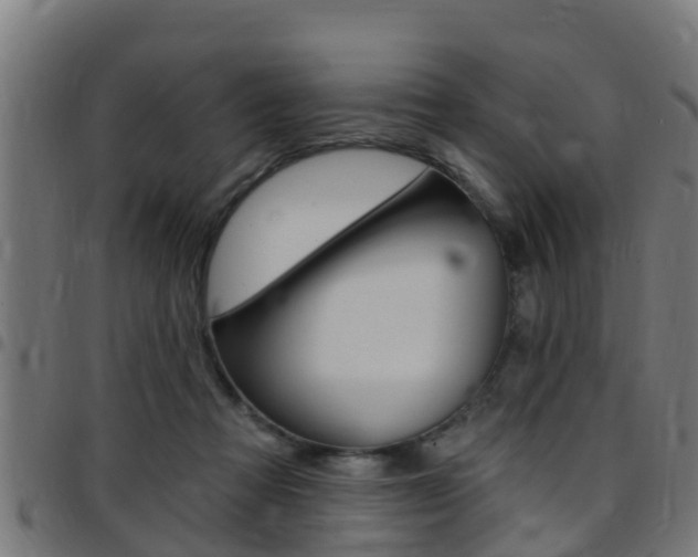 X0000097790313200803070941