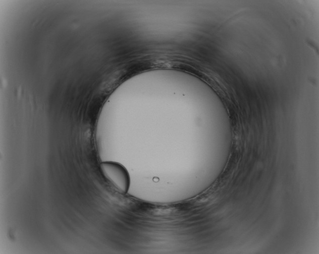 X0000097790314200803070941